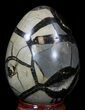 Septarian Dragon Egg Geode - Black Calcite Crystals #33995-3